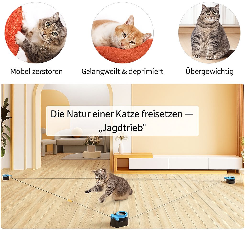 PawVibe™ – Spielspaß ohne Ende für jede Katze.