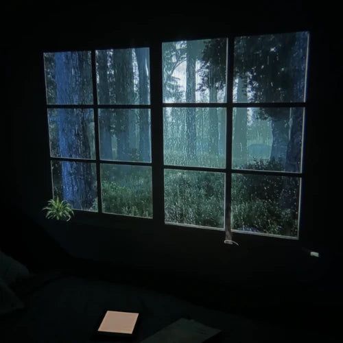 FULL HD Prisma, WLAN-Zugriff, Netflix & Co. vorinstalliert